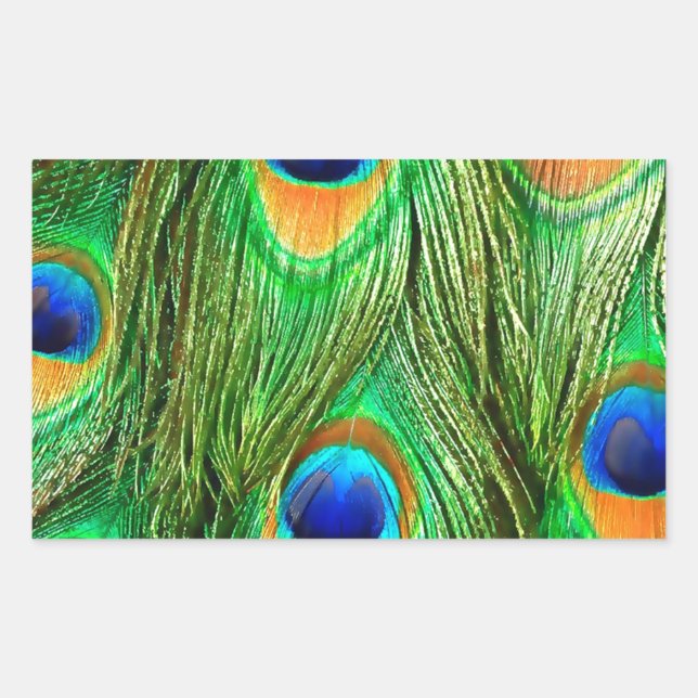 Farbenfrohe PfauenFedern drucken Rechteckiger Aufkleber (Vorderseite)