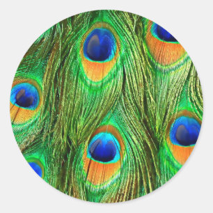 Farbenfrohe PfauenFedern drucken Runder Aufkleber