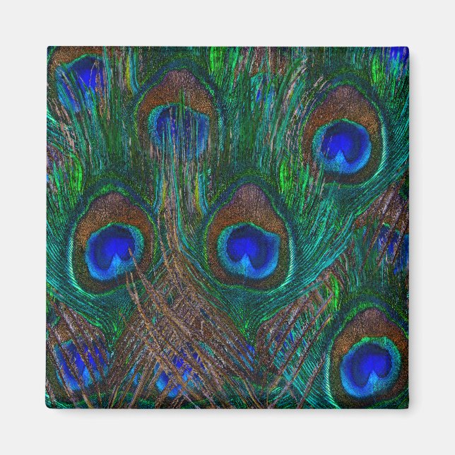 Farbenfrohe PfauenFedern Etching Style Magnet (Vorne)