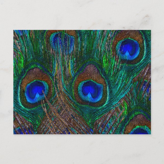 Farbenfrohe PfauenFedern Etching Style Postkarte (Vorderseite)