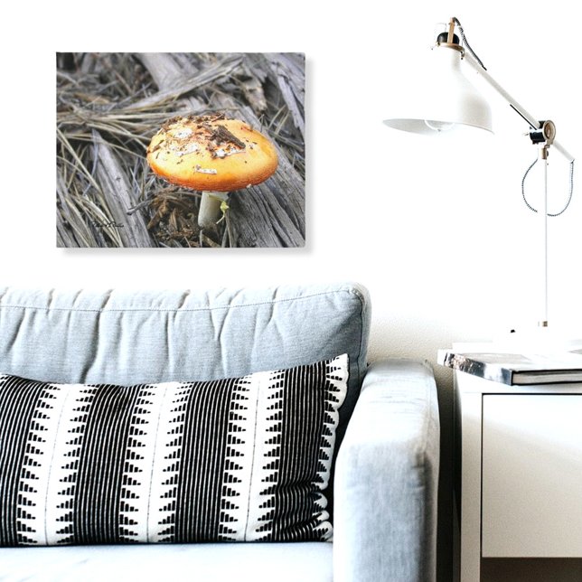 Farbenfrohe Pilzkruste durch Schmutz Leinwanddruck (mushroom photograph canvas print)