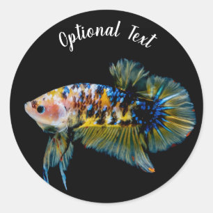 Farbenfrohe Planket Betta Fighting Fish Runder Aufkleber