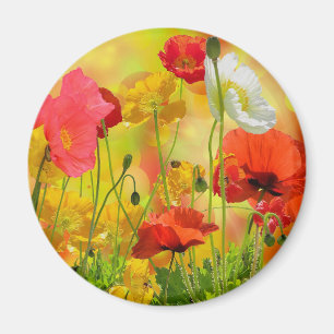 Farbenfrohe Poppies Magnet