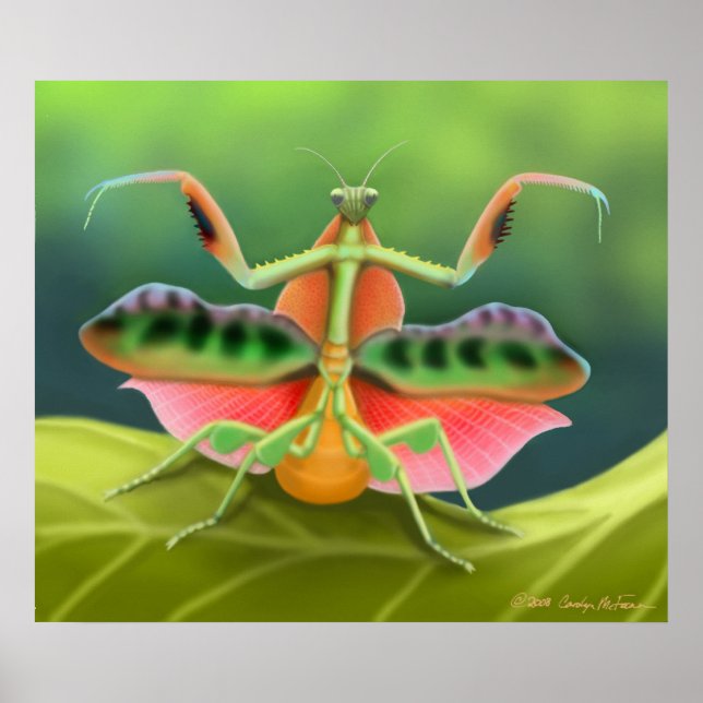 Farbenfrohe Pracht Mantis Bug Poster (Vorne)
