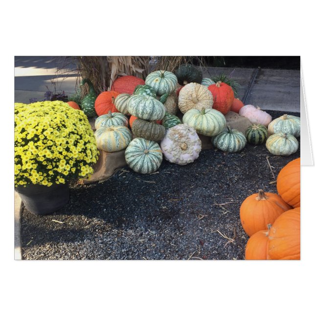 Farbenfrohe Pumpkins (Vorderseite (Horizontal))