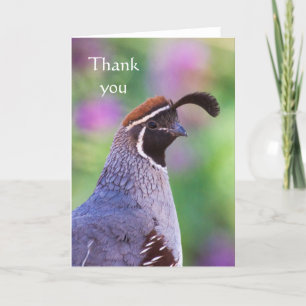 Farbenfrohe Quaille, vielen Dank Dankeskarte