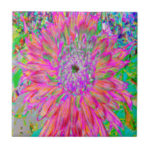 Farbenfrohe Regenbogen Abstrakt dekorative Dahlia 