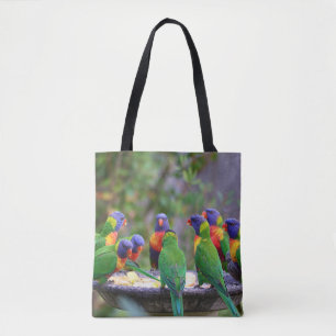 Farbenfrohe Regenbogen-Lorikeet-Papageien essen