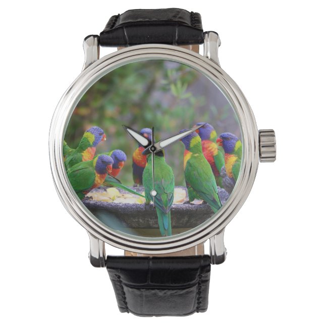 Farbenfrohe Regenbogen-Lorikeet-Papageien essen Armbanduhr (Vorderseite)