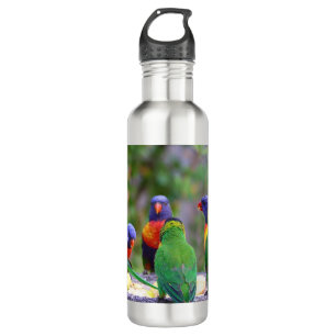 Farbenfrohe Regenbogen-Lorikeet-Papageien essen Edelstahlflasche