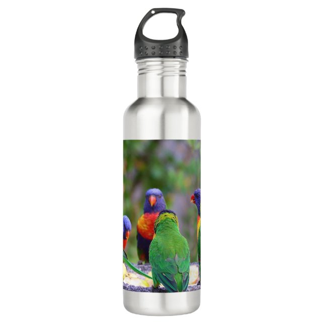 Farbenfrohe Regenbogen-Lorikeet-Papageien essen Edelstahlflasche (Vorderseite)
