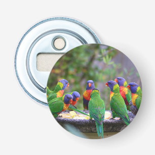 Farbenfrohe Regenbogen-Lorikeet-Papageien essen Flaschenöffner