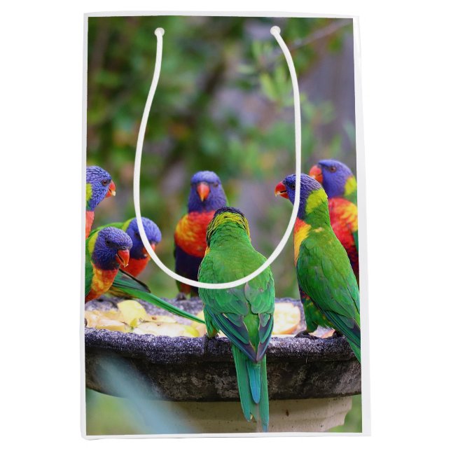 Farbenfrohe Regenbogen-Lorikeet-Papageien essen Mittlere Geschenktüte (Vorderseite)