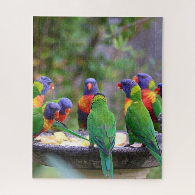 Farbenfrohe Regenbogen-Lorikeet-Papageien essen Puzzle (Vertikal)