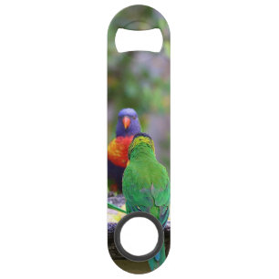 Farbenfrohe Regenbogen-Lorikeet-Papageien essen Speed Flaschenöffner