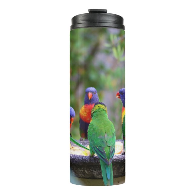 Farbenfrohe Regenbogen-Lorikeet-Papageien essen Thermosbecher (Vorderseite)
