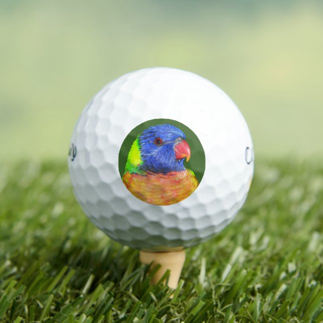 Farbenfrohe Regenbogen Lorikeet Parrot Foto Golfball (Insitu T-Shirt)