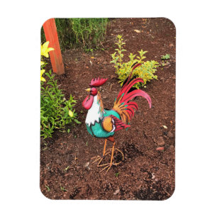 Farbenfrohe Rooster im Garten Magnet