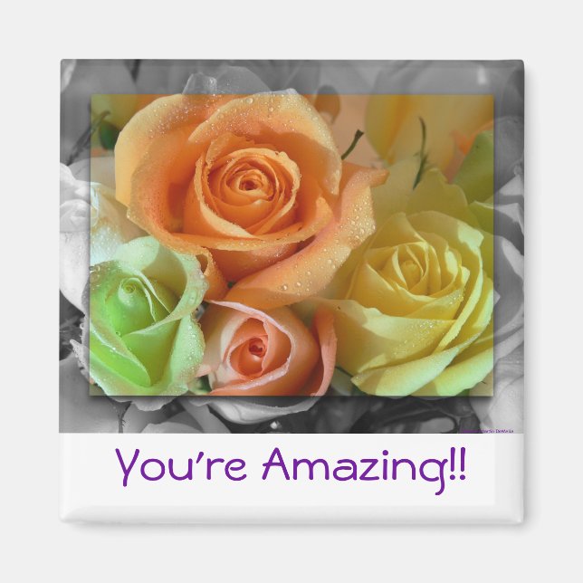 Farbenfrohe Rose-Magnet Magnet (Vorne)