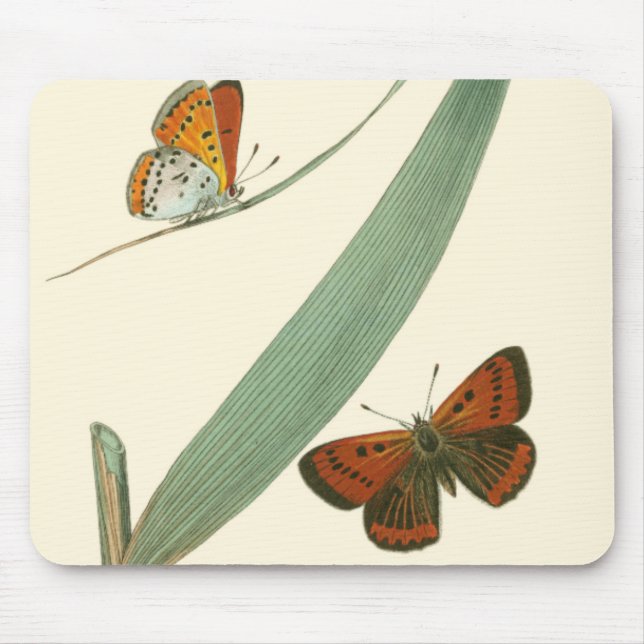 Farbenfrohe Schmetterlinge flattern um ein Blatt Mousepad (Vorne)