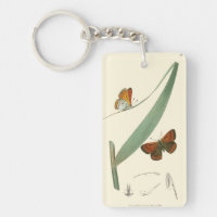 Farbenfrohe Schmetterlinge flattern um ein Blatt