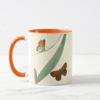 Farbenfrohe Schmetterlinge flattern um ein Blatt