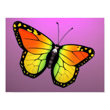 Farbenfrohe Schmetterlingposter