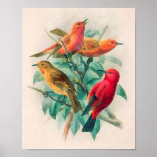 Farbenfrohe Schwangvögel und grüne Blätter Poster