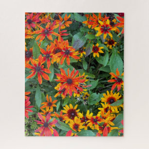 Farbenfrohe Schwarz-mit Augen Susans in Vermont Puzzle