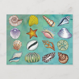 Farbenfrohe Seashell Postcard Postkarte