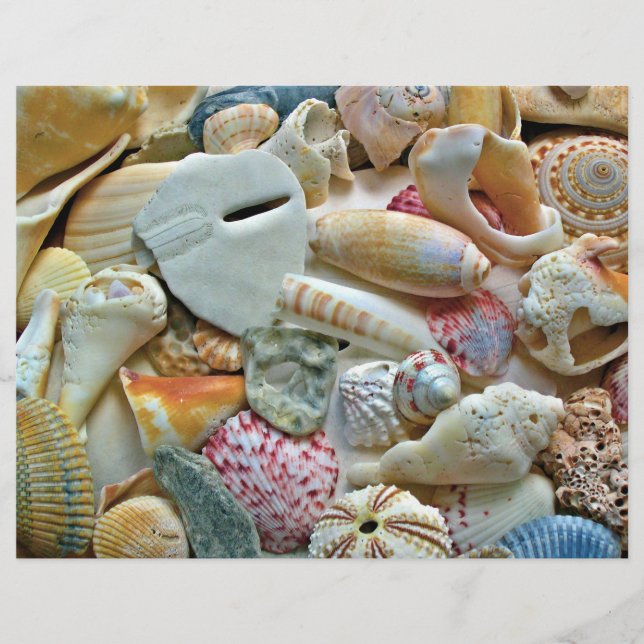 Farbenfrohe Seashells Scrapbook Seiten Handarbeit  (Vorderseite)