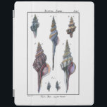 Farbenfrohe Seven Seashells iPad Hülle<br><div class="desc">Der Künstler Denis Diderot ist begabt und bekannt für seine großartigen Bilder des Meereslebens. In diesem lebendigen Bild fängt er sieben farbenfrohe Conch Muscheln in ihrem natürlichsten und einzigartigsten Stil ein. Die Zangen sind oft gekratzt und in allen Formen und Größen erhältlich. Holen Sie sich Ihr Muschelprodukt heute und genießen...</div>