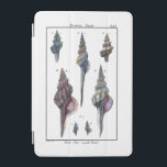 Farbenfrohe Seven Seashells iPad Mini Hülle<br><div class="desc">Der Künstler Denis Diderot ist begabt und bekannt für seine großartigen Bilder des Meereslebens. In diesem lebendigen Bild fängt er sieben farbenfrohe Conch Muscheln in ihrem natürlichsten und einzigartigsten Stil ein. Die Zangen sind oft gekratzt und in allen Formen und Größen erhältlich. Holen Sie sich Ihr Muschelprodukt heute und genießen...</div>
