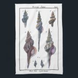 Farbenfrohe Seven Seashells Küchentuch<br><div class="desc">Der Künstler Denis Diderot ist begabt und bekannt für seine großartigen Bilder des Meereslebens. In diesem lebendigen Bild fängt er sieben farbenfrohe Conch Muscheln in ihrem natürlichsten und einzigartigsten Stil ein. Die Zangen sind oft gekratzt und in allen Formen und Größen erhältlich. Holen Sie sich Ihr Muschelprodukt heute und genießen...</div>