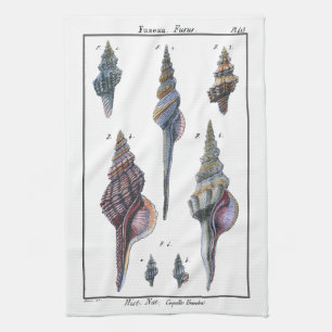 Farbenfrohe Seven Seashells Küchentuch