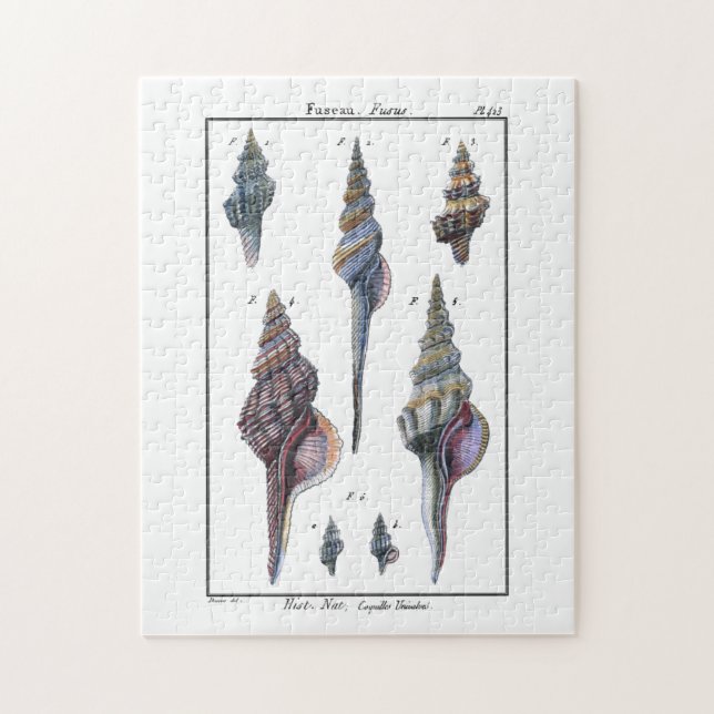 Farbenfrohe Seven Seashells Puzzle (Vertikal)