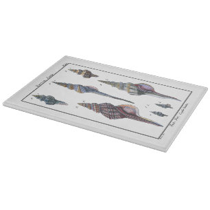 Farbenfrohe Seven Seashells Schneidebrett