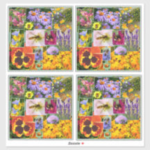 Farbenfrohe Sommer-Blume und Insekten-Collage