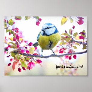 Farbenfrohe Songbird- und Frühlingsblüten, Ihre Bo Poster