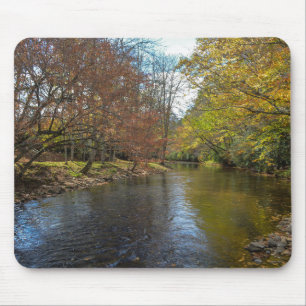 Farbenfrohe, sonnenbeleuchtete Herbstlaube spiegel Mousepad