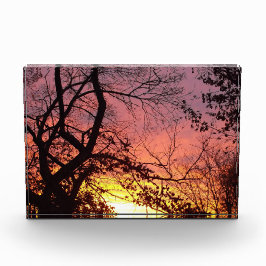 Farbenfrohe Sonnenuntergänge durch seltene Bäume Fotoblock