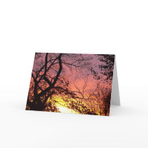 Farbenfrohe Sonnenuntergänge durch seltene Bäume