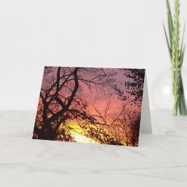 Farbenfrohe Sonnenuntergänge durch seltene Bäume Karte