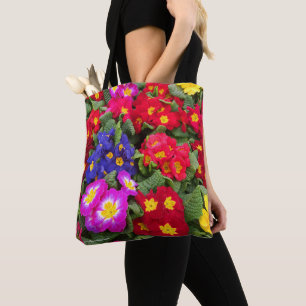 Farbenfrohe Springtime Floral Medley von Primulas