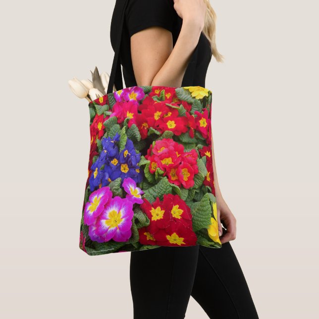 Farbenfrohe Springtime Floral Medley von Primulas (Von Nahem)