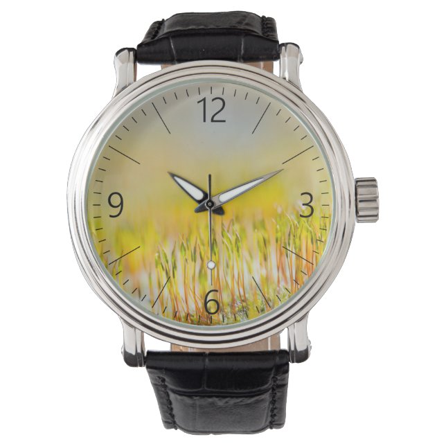 Farbenfrohe Sprossen Armbanduhr (Vorderseite)