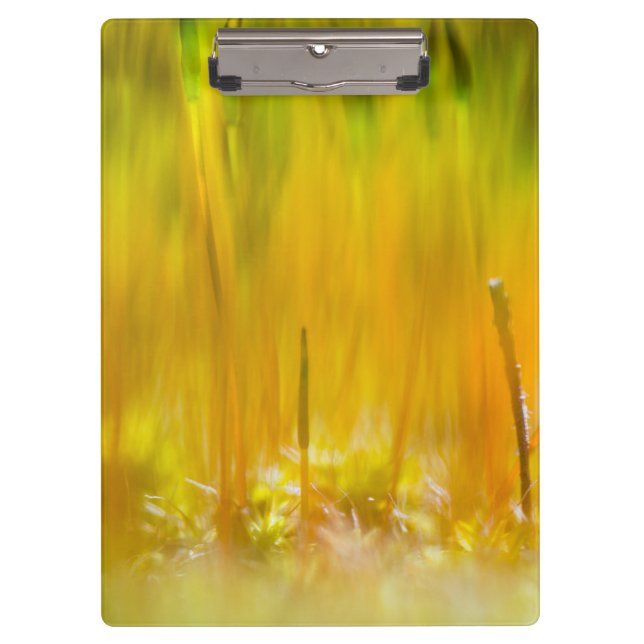 Farbenfrohe Sprossen Klemmbrett (Vorderseite)