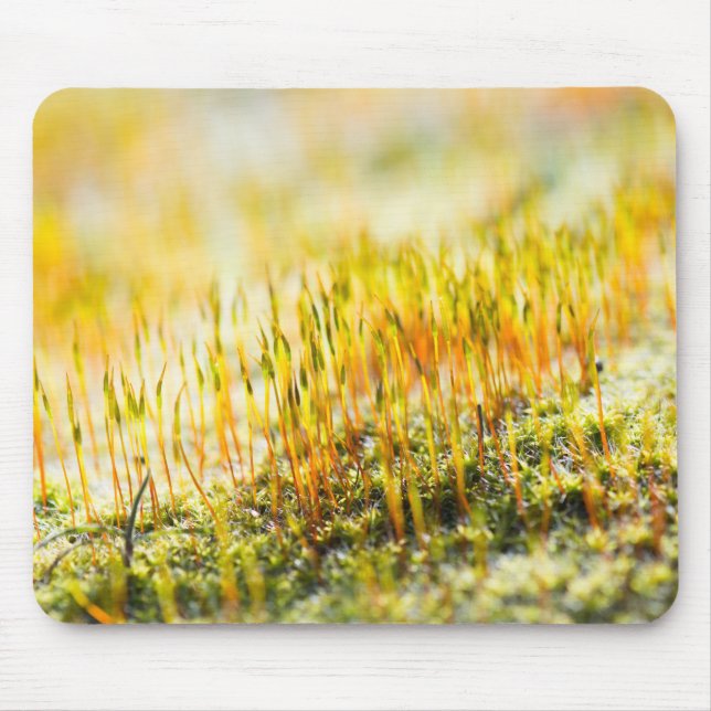 Farbenfrohe Sprossen Mousepad (Vorne)