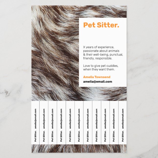 Farbenfrohe Stand out Pet Sitting Detachable Info  Flyer (Vorne)