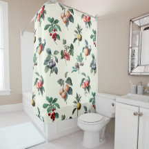 Farbenfrohe süße botanische Vintage Frucht auf Wei